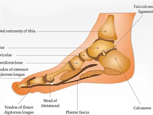 انواع مفاصل پا و مشکلات ارتوپدی و درمان آنها